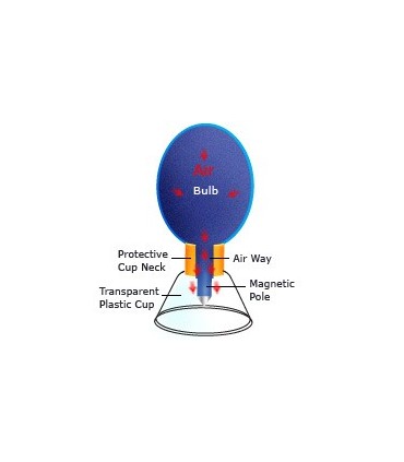 Bańki próżniowe magnetyczne HACI -  komplet 12 sztuk