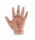 Model dłoni z punktami akupunkturowymi - 13 cm