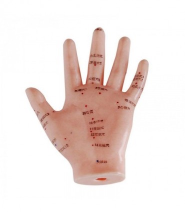 Model dłoni z punktami akupunkturowymi - 13 cm