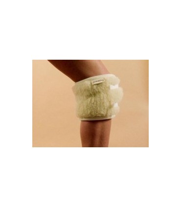 Nakolannik jednostronny Runo