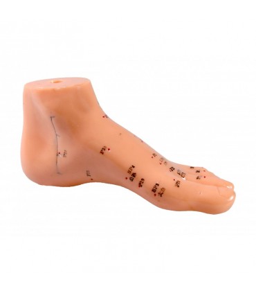 Model stopy z punktami akupunkturowymi - 15 cm