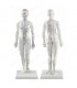 Model kobiety, manekin do akupunktury o wys. 48 cm