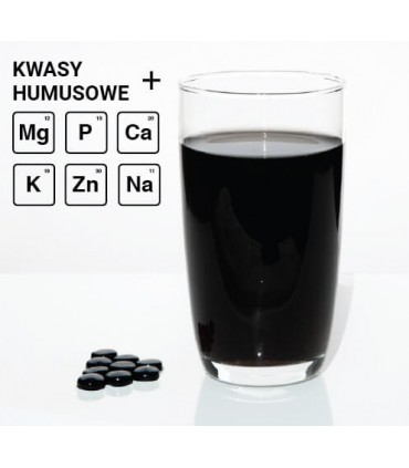 Mumio oczyszczone - suplement diety 60 tab. x 0,2 g