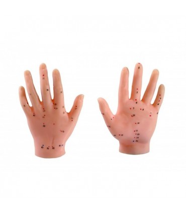 Model dłoni z punktami akupunkturowymi - 13 cm